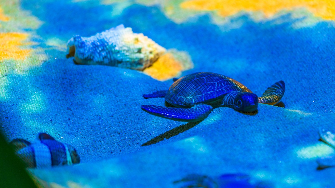 Черепаха в интерактивной песочнице